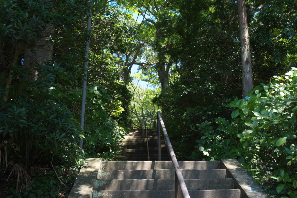 寺の階段・夏
