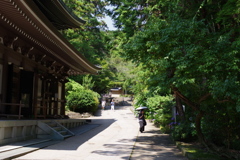 美しい甍
