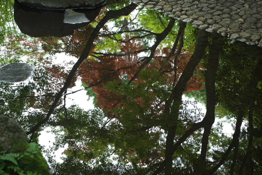水鏡の庭園