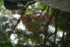 水鏡の庭園