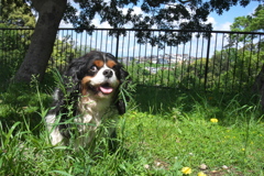 またそんな写真撮って！