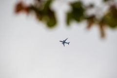飛行機