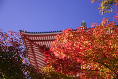 大塔と紅葉