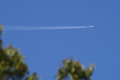 ひこうき雲