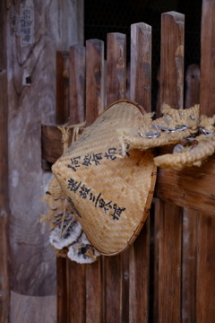 寒いのか暖かいのか…