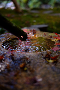 水紋