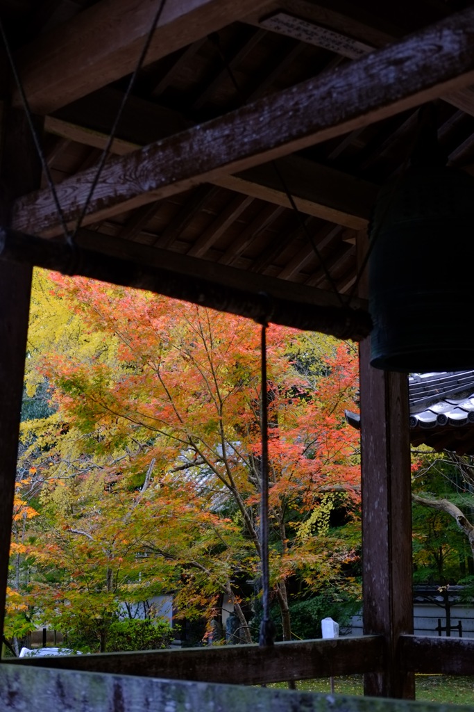 79ab75af-7189-44bd-905b-e02362b3c63b-1_a