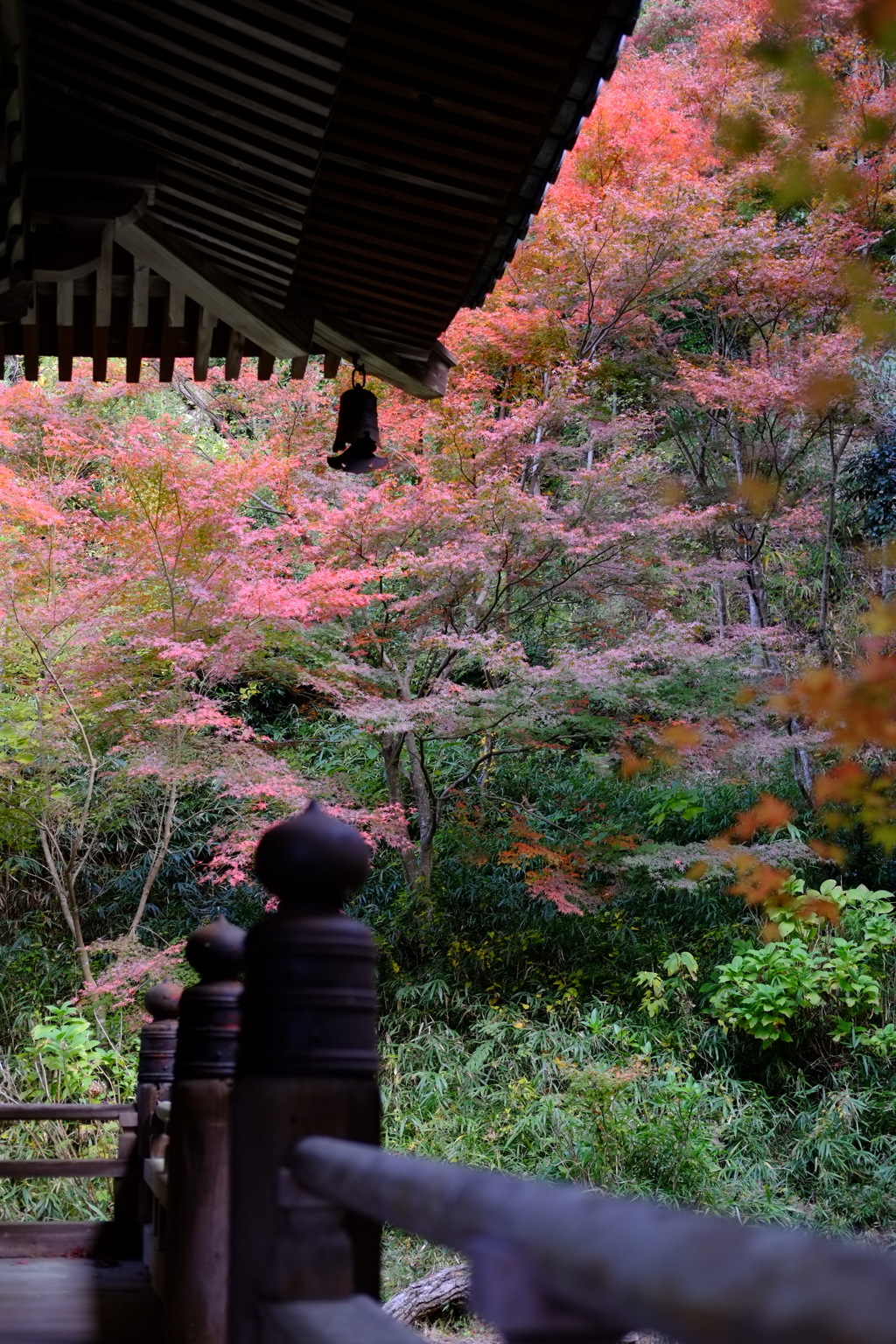 79ab75af-7189-44bd-905b-e02362b3c63b-1_a