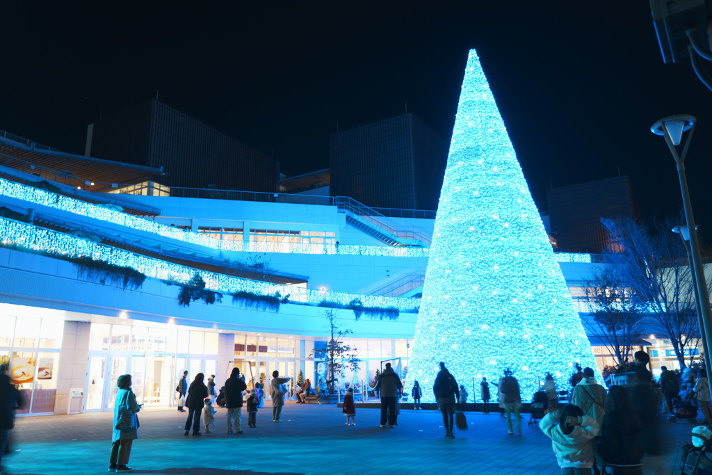 クリスマスに浸る