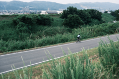rider