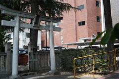 torii