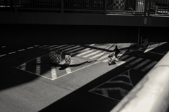 crossing2