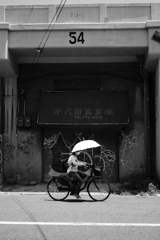 No.54 umbrella