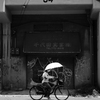 No.54 umbrella