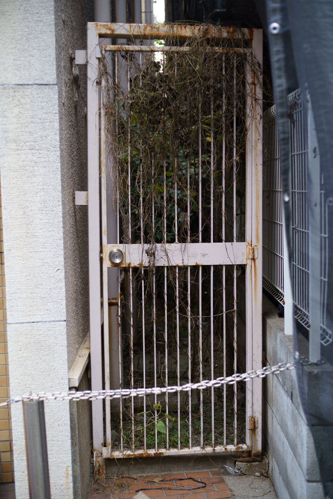door