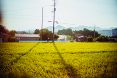 mowing