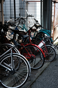 bicycles