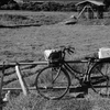 ippuku ii