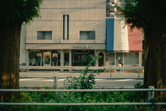 tricolor