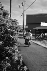 rural rider