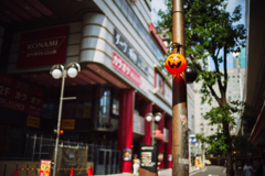 pumpkin