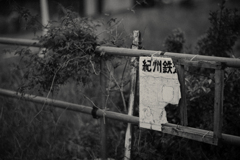 kishu rail