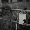 kishu rail