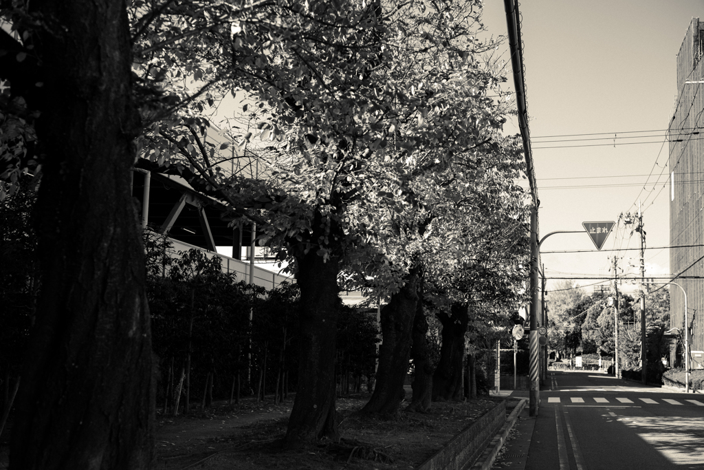 diagonal
