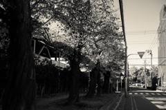 diagonal