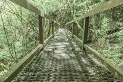 mori bridge