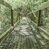 mori bridge