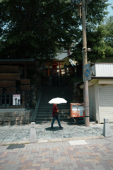 Umbrella