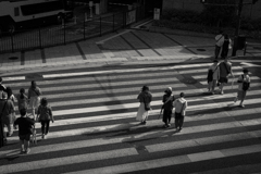 crossing iii