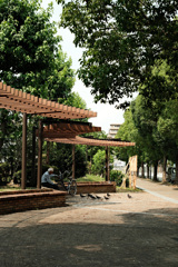 in the park