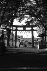 torii_ii