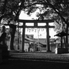 torii_ii