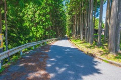 mori road