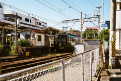 tama densha