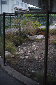 fence ii