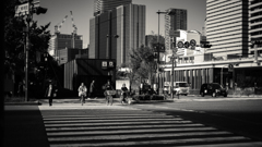 crossing
