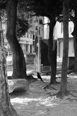 crow ii