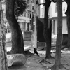 crow ii