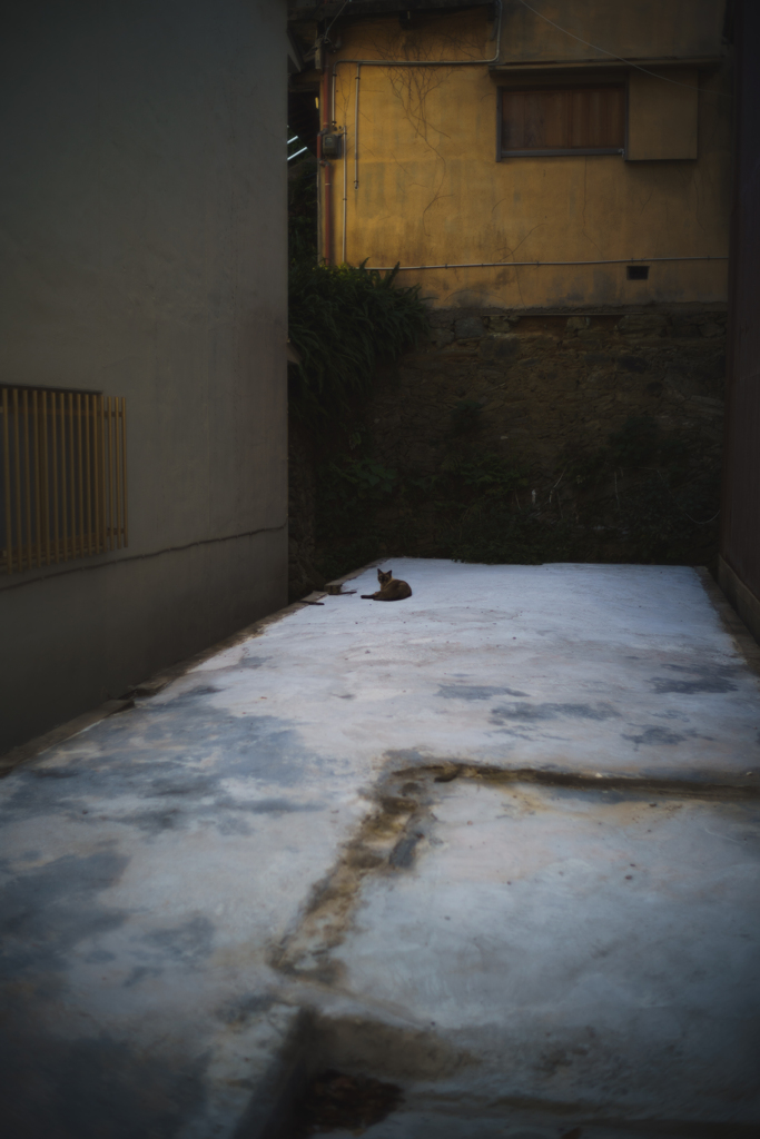 resident neko ?