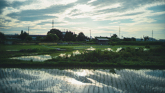 evening
