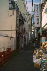 saikai