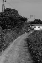 sanpo