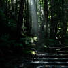 日光白根山の山道