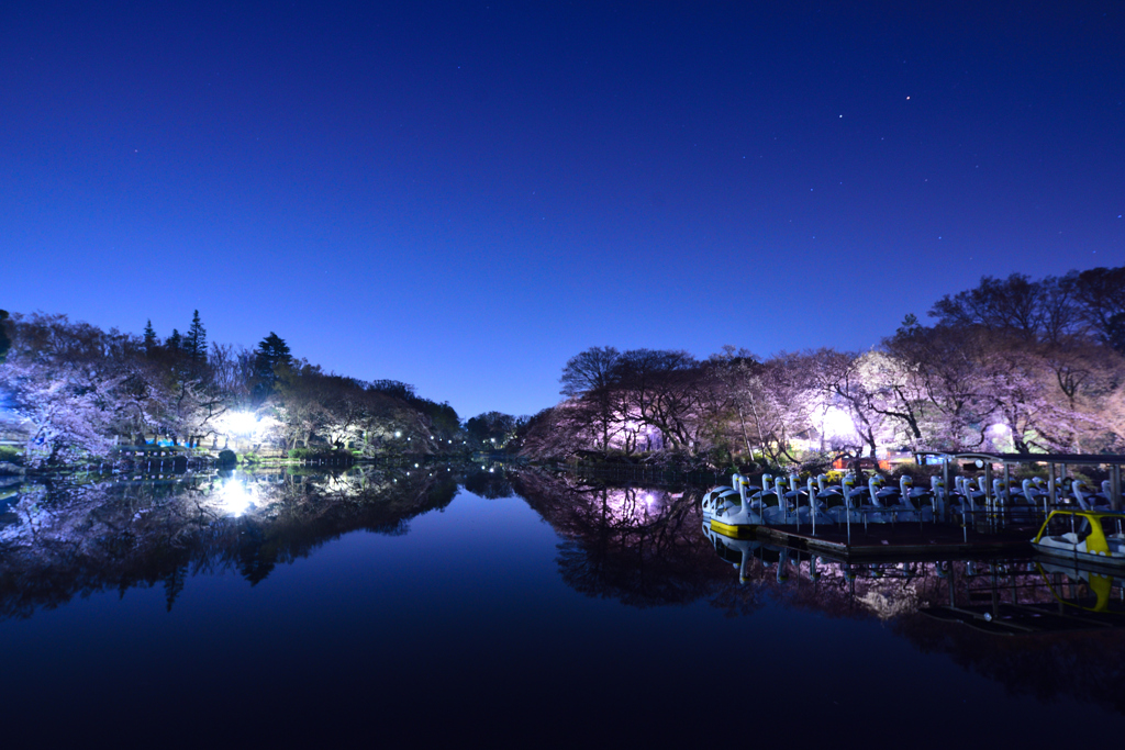 井の頭公園