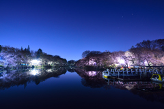 井の頭公園