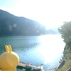奥多摩湖を眺めるうさぎ